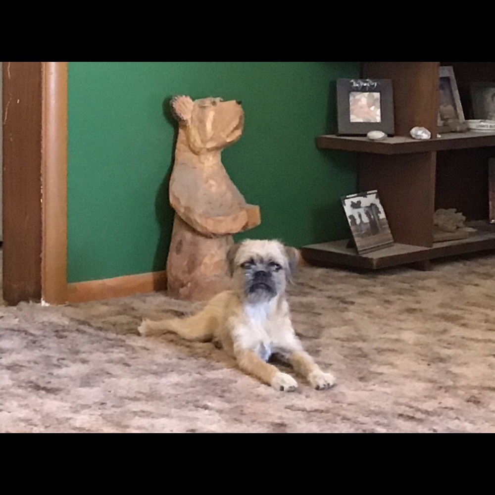 Meet your Posher, Audrye